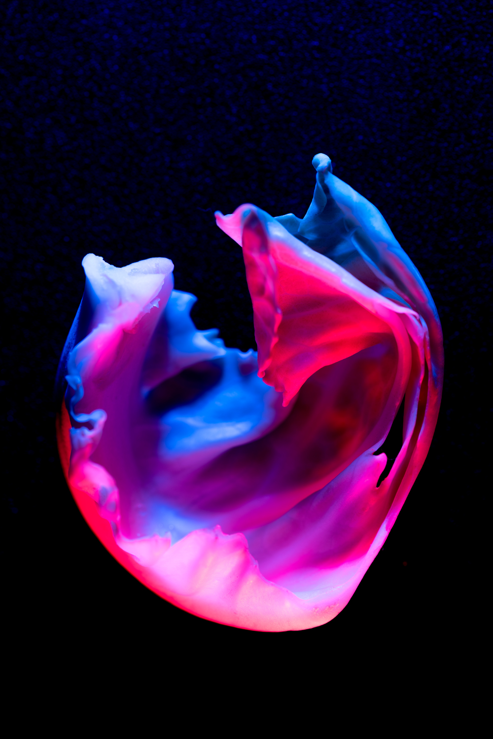 0003_mohammad_hasan_zobayer_pp2_id_2212_mirrorless_dream