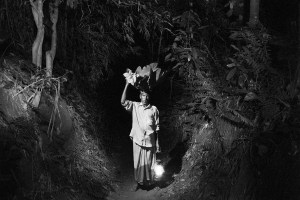 Freelance Photographer