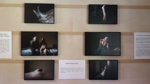 11878988_10154072584033265_761677653417007166_o