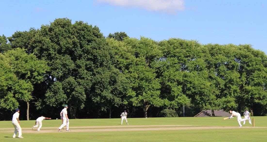 13731853_1291520420877837_7329880457301800605_o