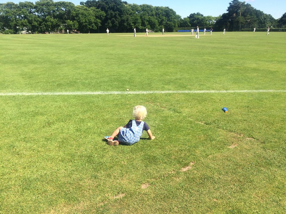 13775399_10208906772899116_7072982044529303643_n